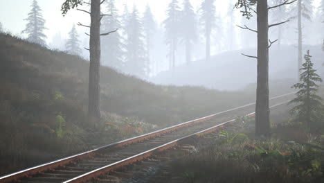 El-Ferrocarril-Vacío-Atraviesa-Un-Bosque-Nublado-Por-La-Mañana