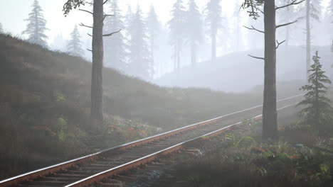 empty railway goes through foggy forest in morning