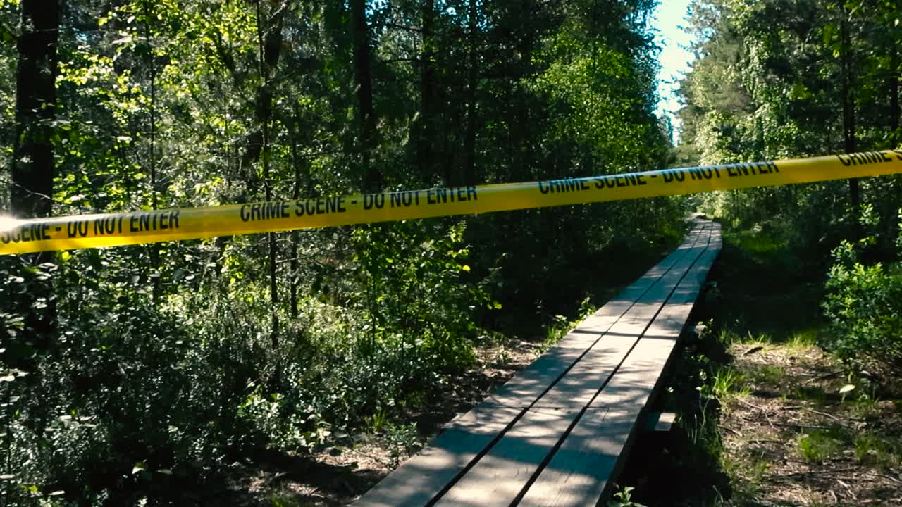 Wide angle footage of a yellow colored crime scene do not enter ribbon tape in front and over a wooden boardwalk in a sunny marhland bog or wetland during a warm day. large trees and foliage around.