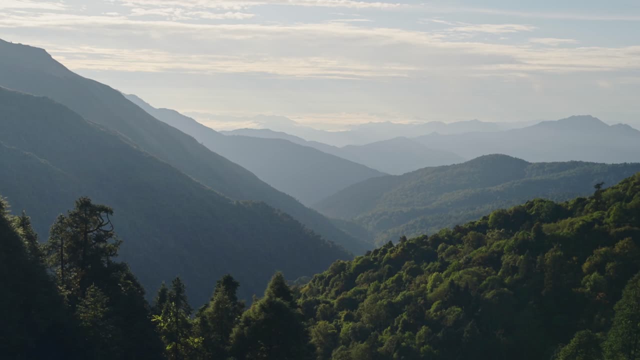 bosque y montañas del himalaya paisaje, hermoso paisaje nebuloso de nepal con árboles verdes exuberantes en los pies de los himalayas en nepal en hermosos paisajes montañosos con capas de niebla y colinas