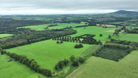 aerial de los campos verdes fértiles de waterford irlanda en un día de verano