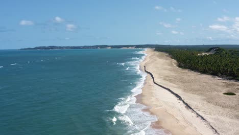 camión izquierdo aéreo drone paisaje toma de la costa tropical de río grande do norte, brasil con una playa virgen, agua azul del océano y palmeras entre baia formosa y barra de cunha?