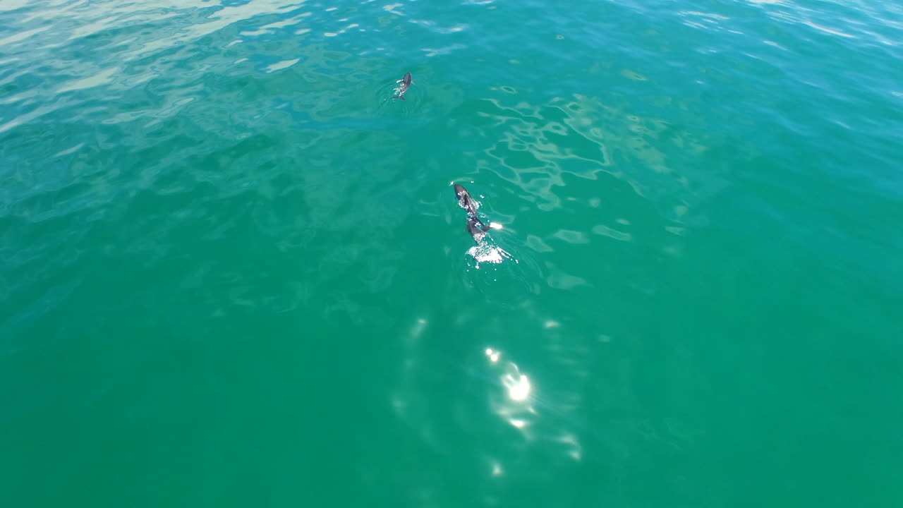 파도를  ⁇ 는 것