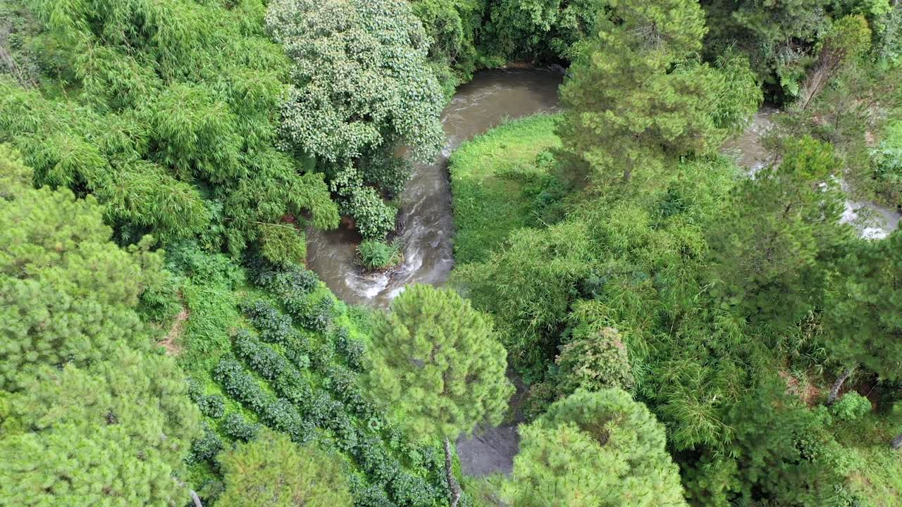 río ubicado en el bosque de pinos de pangalengan, bandung, java occidental, indonesia