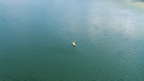 lonely person paddleboarding on vast lithuanian lake, aerial drone view