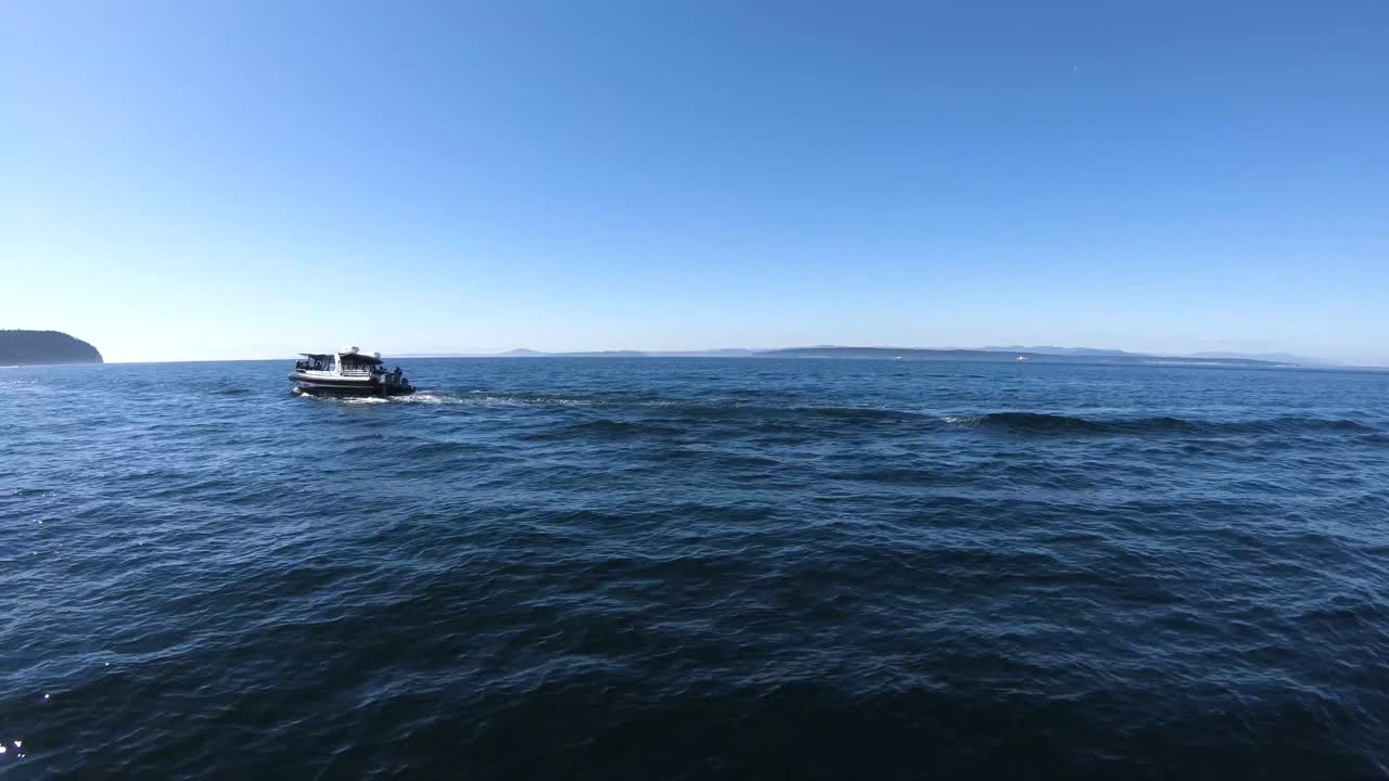 태평양의 푸른 바다