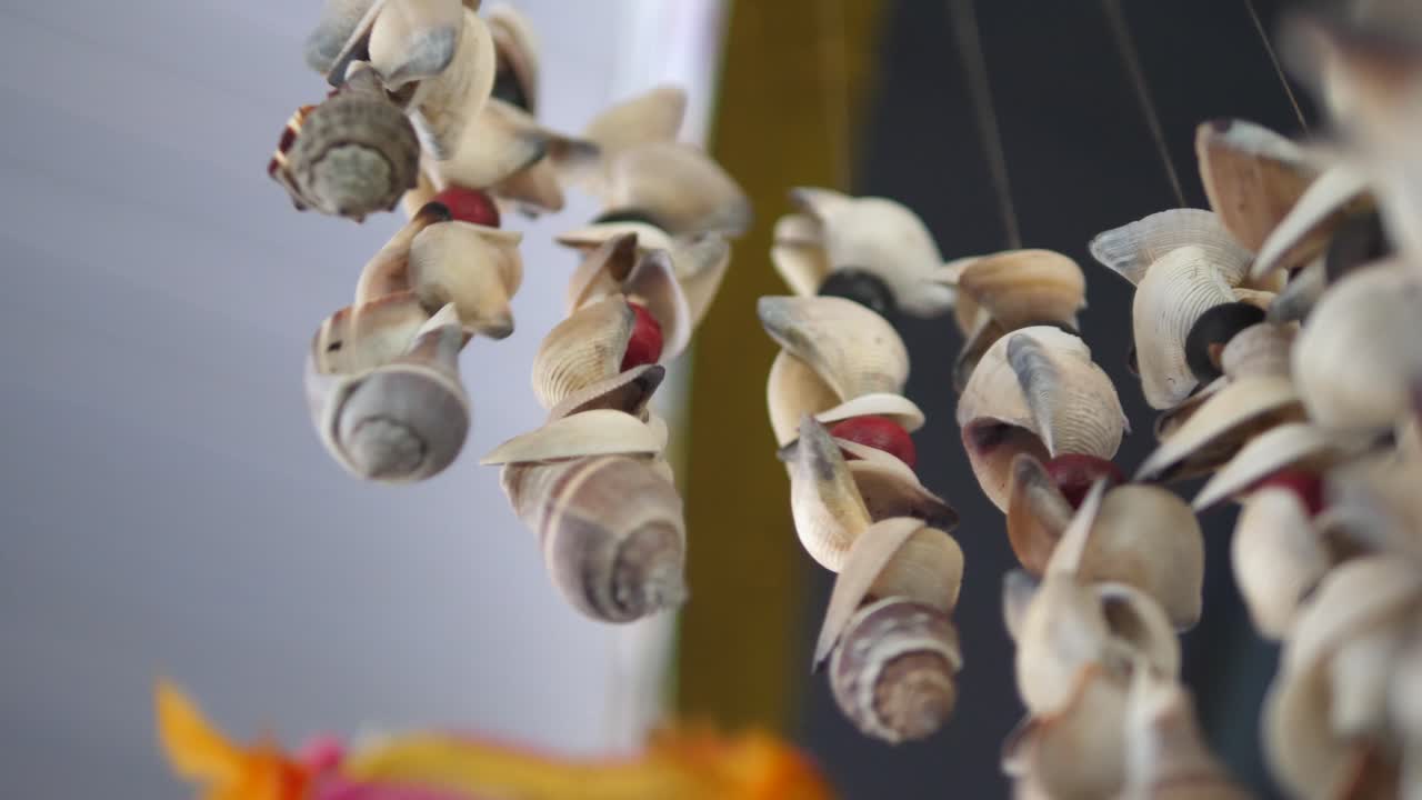 Ornaments made of shells hanging near the door of the room