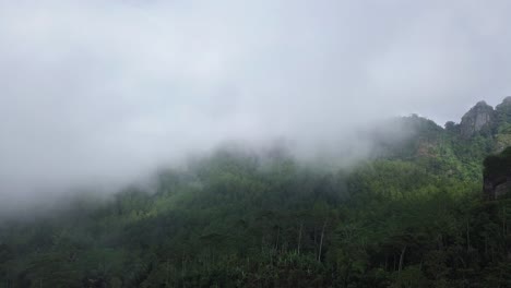 static video of the the fog that moves