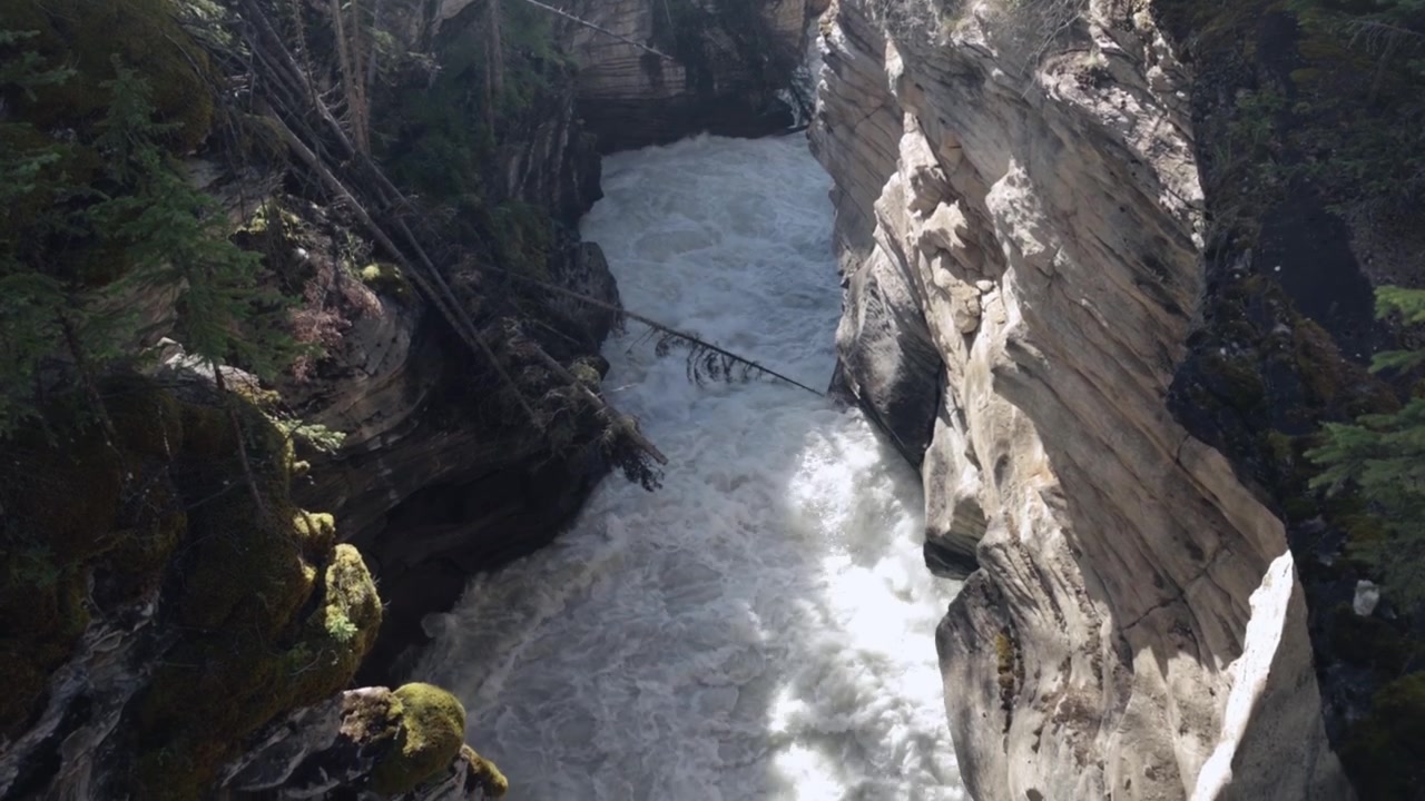 La telecamera scende attraverso una stretta gola delle cascate Athabasca, rivelando pareti rocciose stratificate, un albero caduto sopra il canale e rapide acque bianche che si fanno strada attraverso lo stretto passaggio nel Parco Nazionale di Jasper