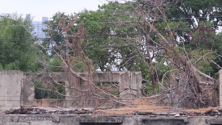 Sequence showing the gradual demolition of a building
