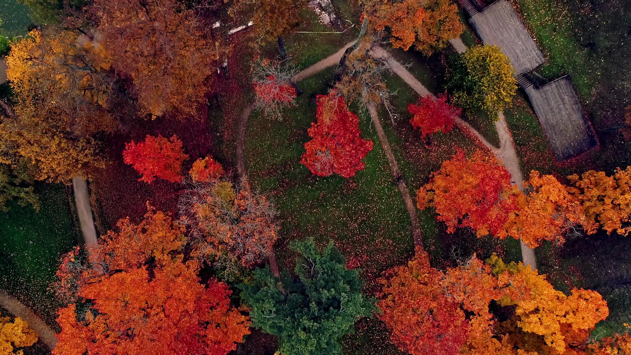 낮에는 호수 에 있는 다채로운 나무와 푸른 풀이 있는 공원 위의 공중 조류의 시야