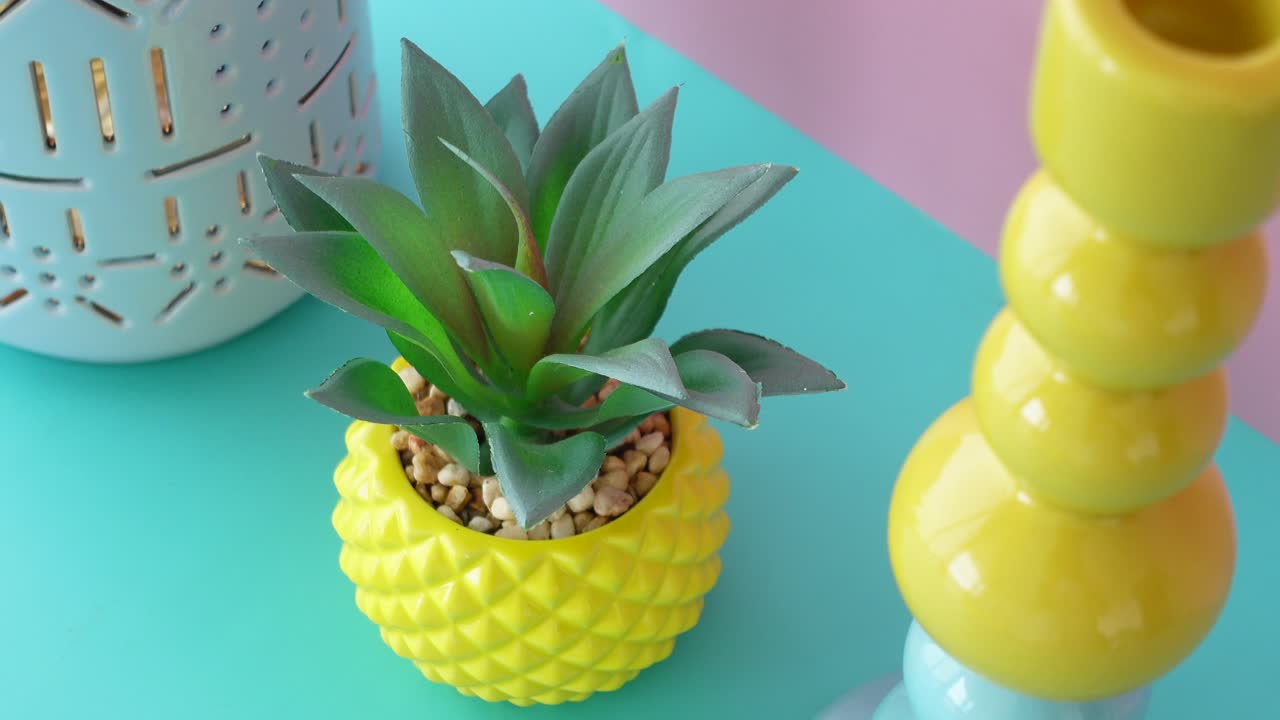 Colorful Home Decor with Succulents and Vases