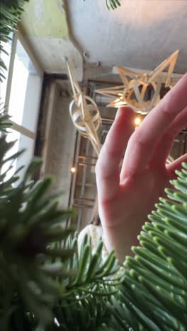 hand reaching into a christmas tree