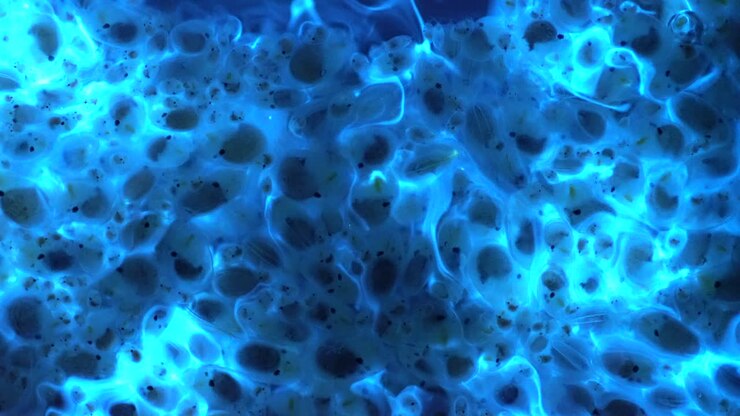 Bioluminescent Blue Marine Organisms Underwater