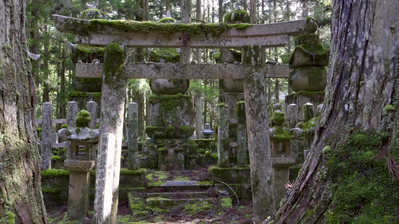 increíble muñeco en cámara lenta hacia la puerta del santuario de piedra en japón dentro del bosque