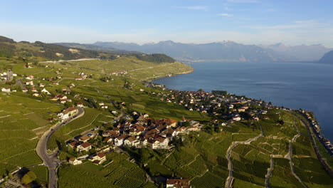 aerial view of rural village in grandaux, canton of vaud in switzerland