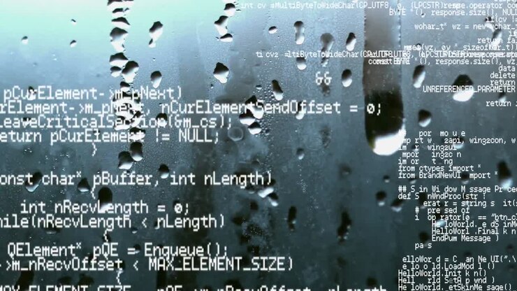 Program codes