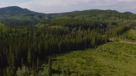 Aerial-view-taking-off-over-the-vast-forest-wilderness-of-the-Rocky-Mountain-foothills-in-Alberta,-Canada