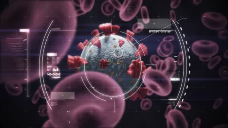 Animation-of-scope-scanning-and-checking-Coronavirus-Covid-19-cell-through-blood-cells-on-black-back