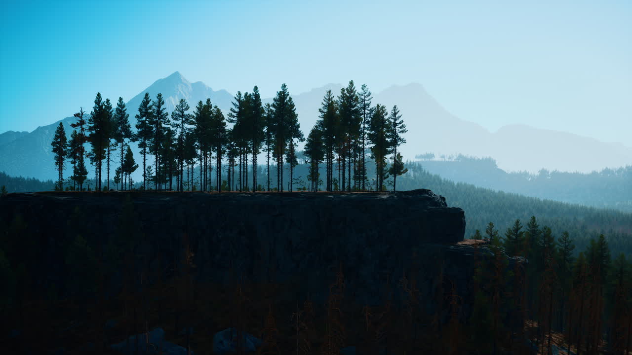 아침 에 안개 가 가득 한 산 숲 풍경