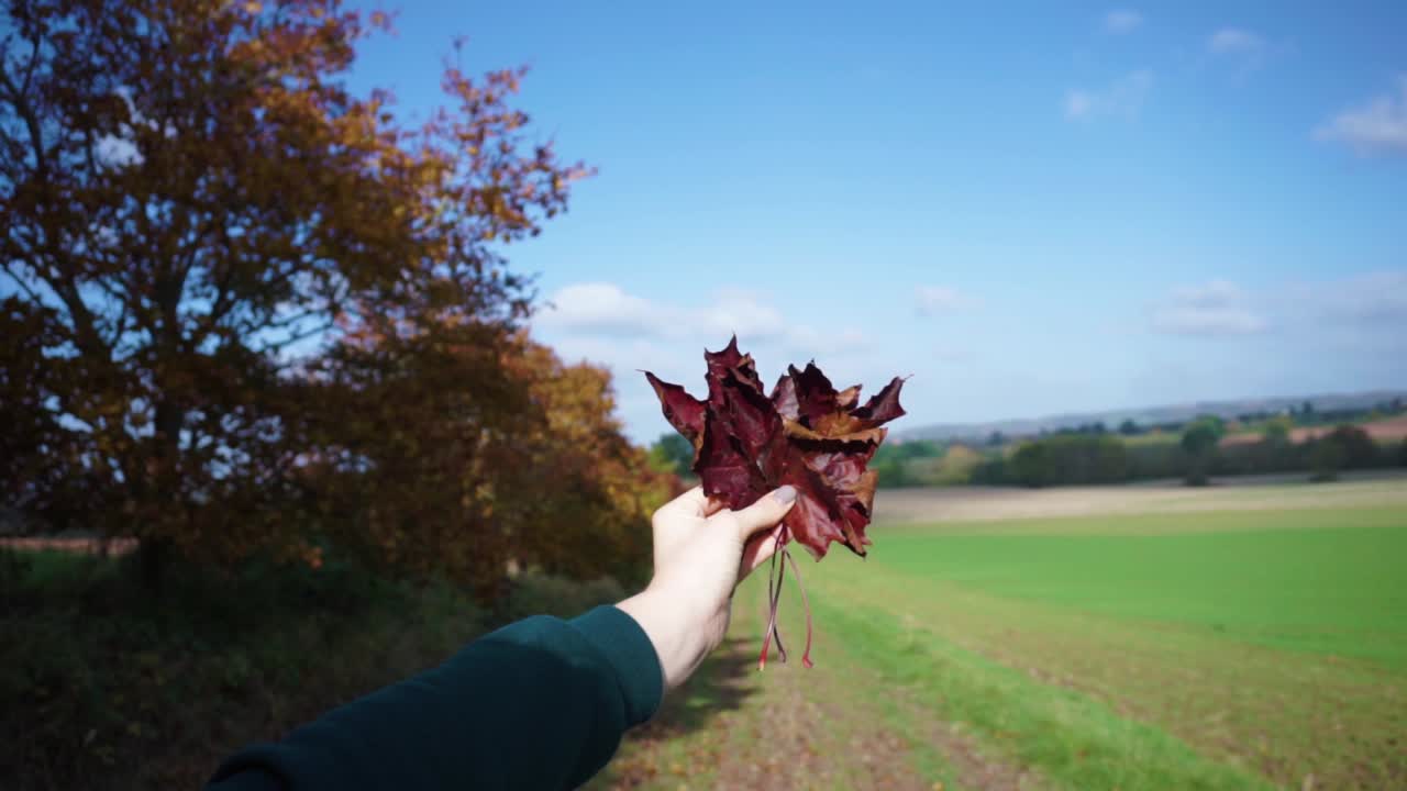 Mano di donna che tiene una foglia autunnale all'aperto in una giornata di sole