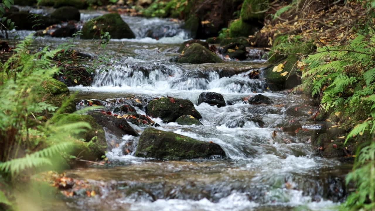 Small and quick mountain river in Romania