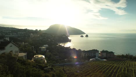 sunrise over a coastal town with vineyards