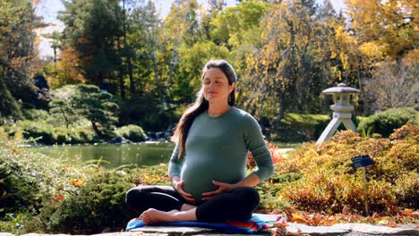 Mujer-Embarazada-Haciendo-Pose-De-Yoga-En-El-Hermoso-Jardín-Botánico-De-Montreal