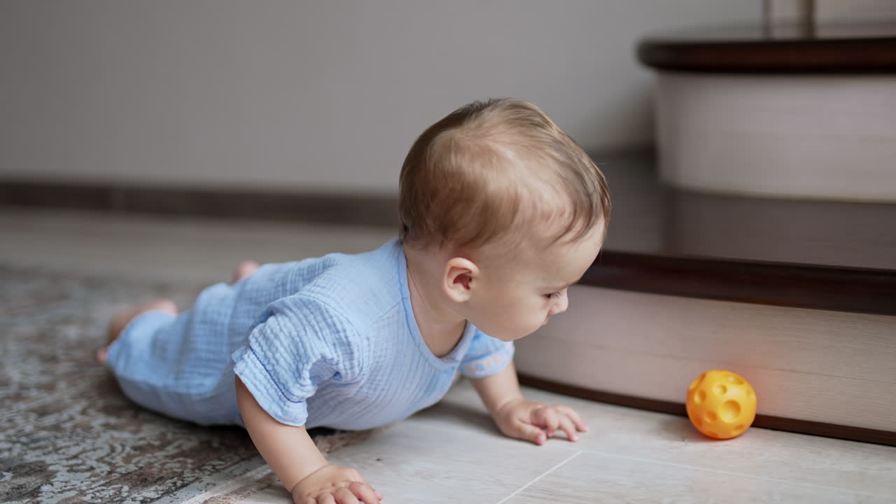 Sweet adorable baby boy crawling by the floor indoors. Active healthy kid trying to reach a ball. Little kid playing with a toy.