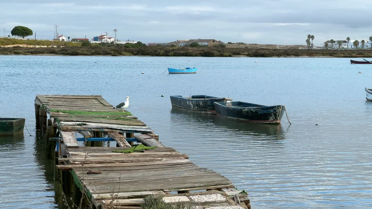 Static view of a broken wooden pier with a seagull about to take flight