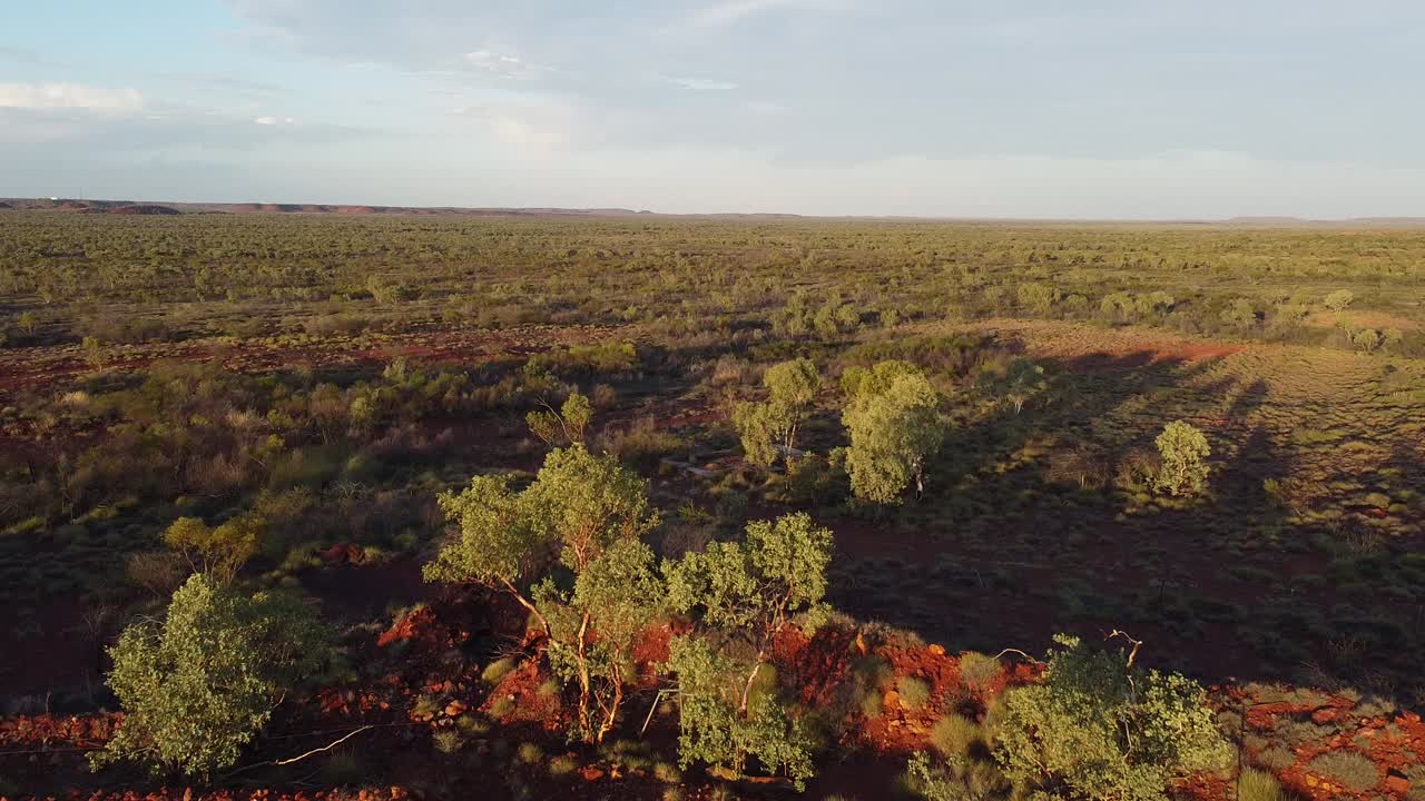 volando sobre el borde de una mina abandonada para revelar el bosque prístino del interior