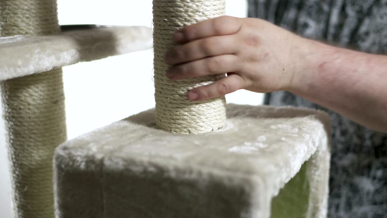 asamblea de condominios de casas de gatos en el árbol