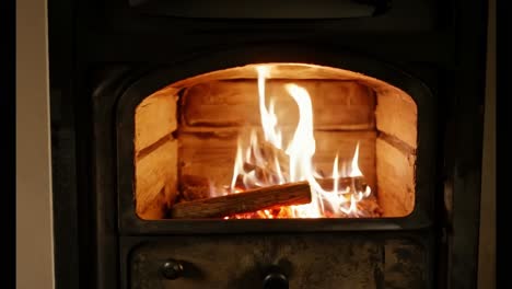 cozy fireplace with burning wood