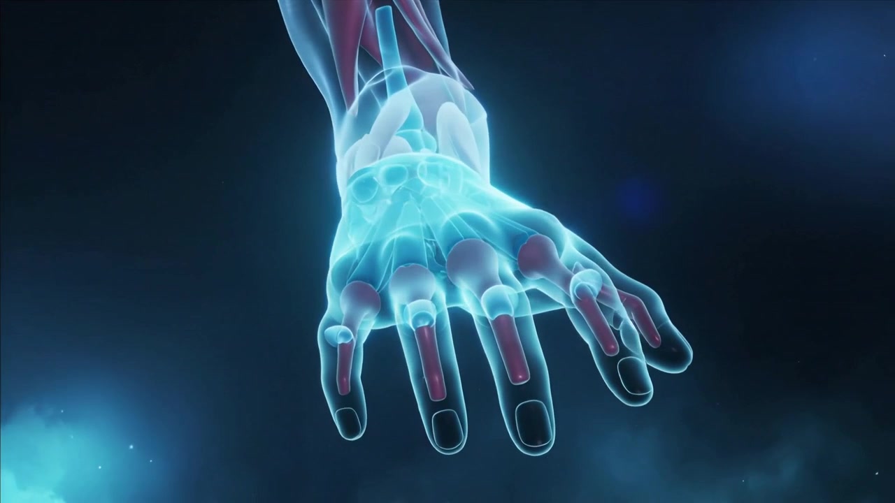 Roterende CGI højre underarm-hånd afslører cyan knogler, sener i stjernefelt til studie.