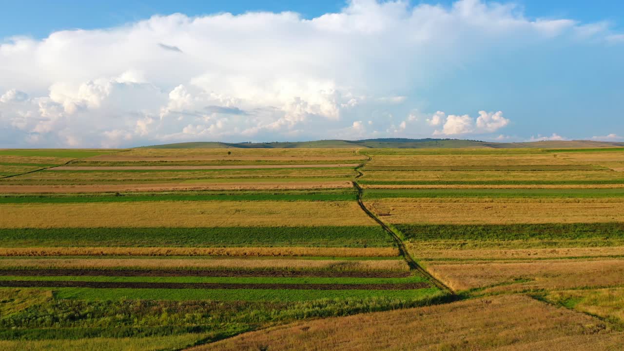 Aerial drone footage of golden fields ready for season harvest