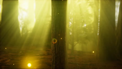 firefly in misty forest with fog