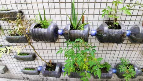 campus green planting corner, create plastic bottles plant wall