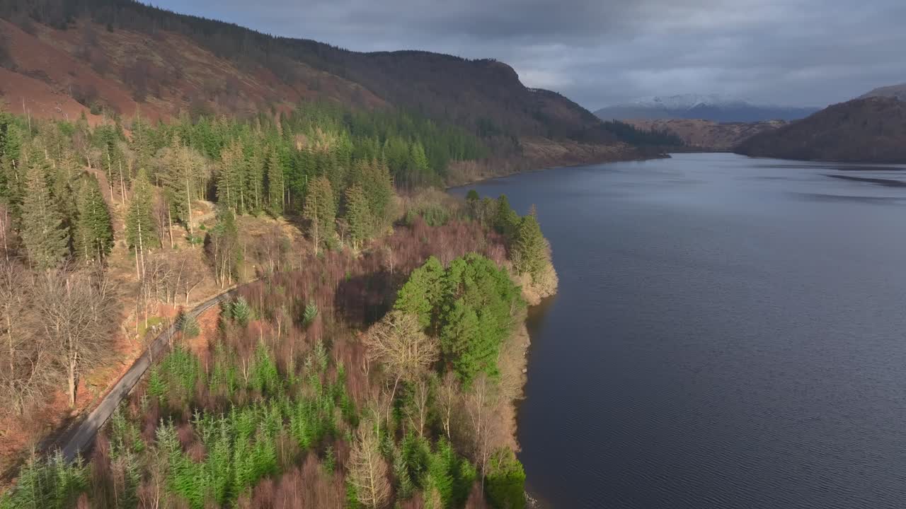 Sunlit trees next to dark lake. Lake District, Cumbria, UK.