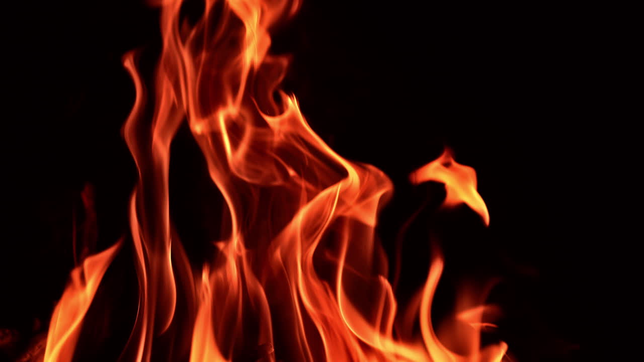 Flames of fire in the big campfire. Burnt wood protruding from blaze. Close up. Black backdrop.
