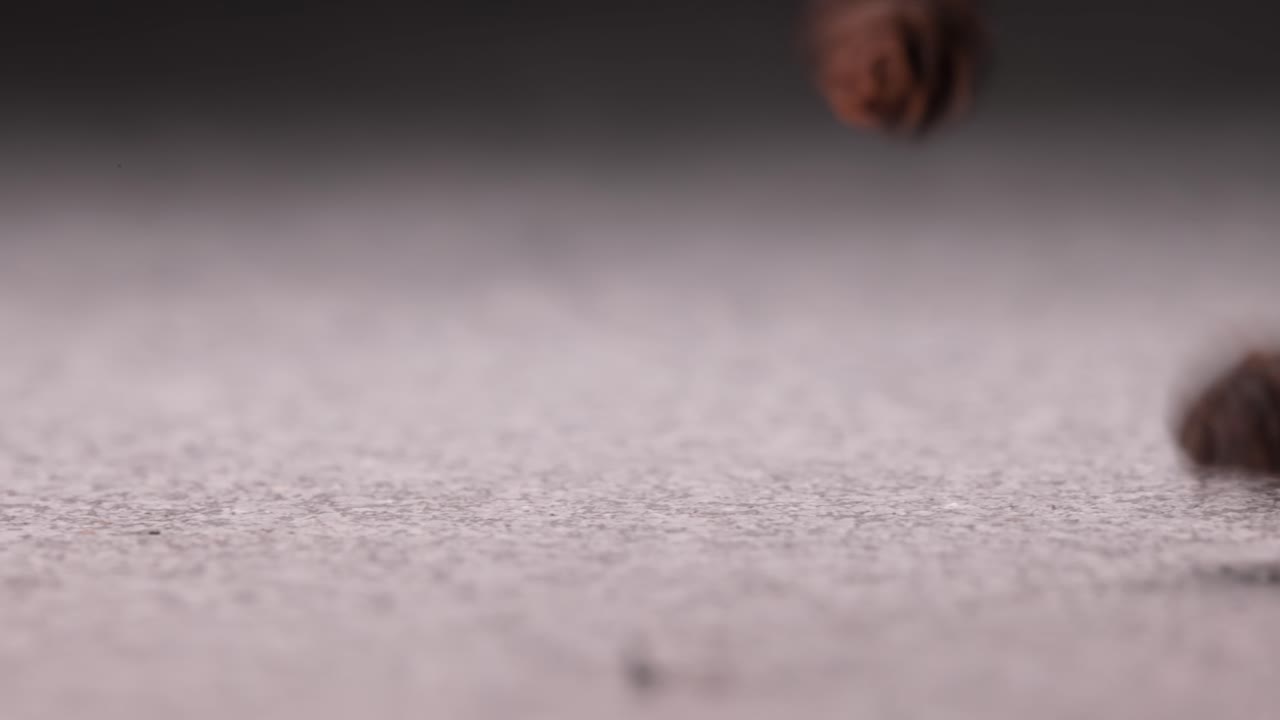 검은 고추 어리의 클로즈업