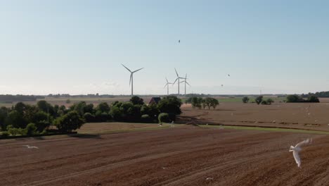 Moving-aerial-over-stunning-Scandinavian-countryside-with-wind-turbines-and-seagulls