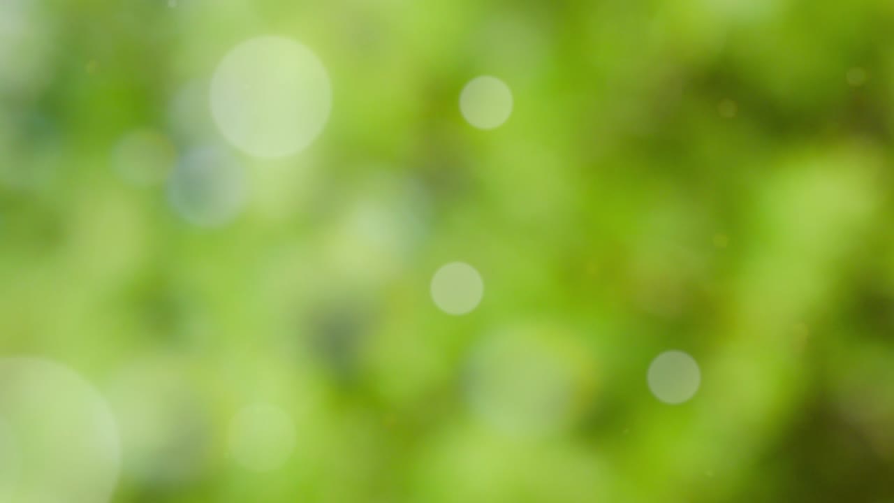 fondo de verano abstracto con bokeh