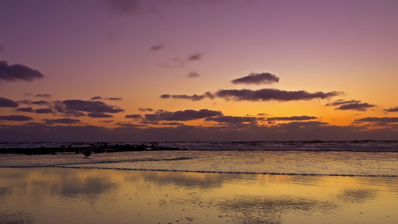 Sunset beach, a small wave glides towards the camera under the violet sky