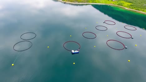 aerial footage farm salmon fishing in norway