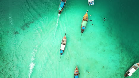 Traditional-long-tail-boats,-touristic-excursion-ride,-top-down-aerial-view