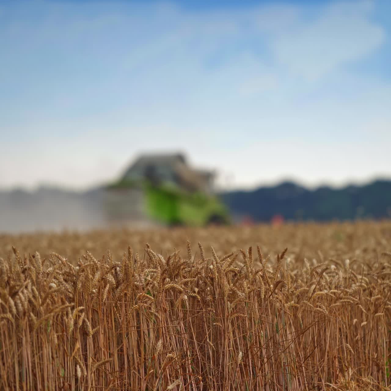 Harvester machine working in the field. Combine harvesting agriculture working on a wheat field