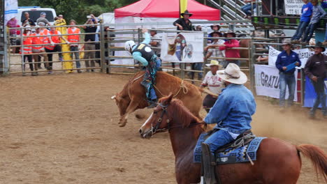 bull rider competes at foire de bourail rodeo, grande terre, new caledonia. slow motion.