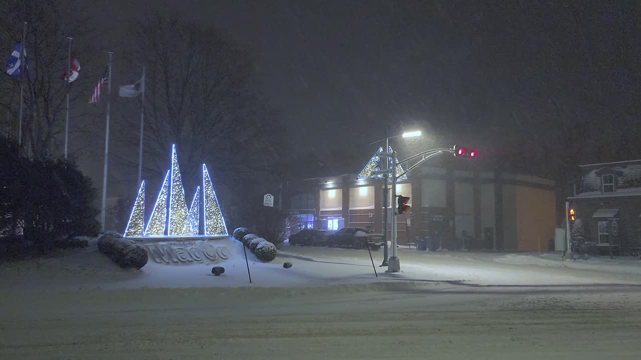 Festive winter night scene with illuminated decor Christmas trees with flags in a park at Orford, Quebec, Canada.