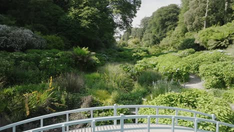small wooden bridge over stream in tropical garden tree lined valley on summer day.