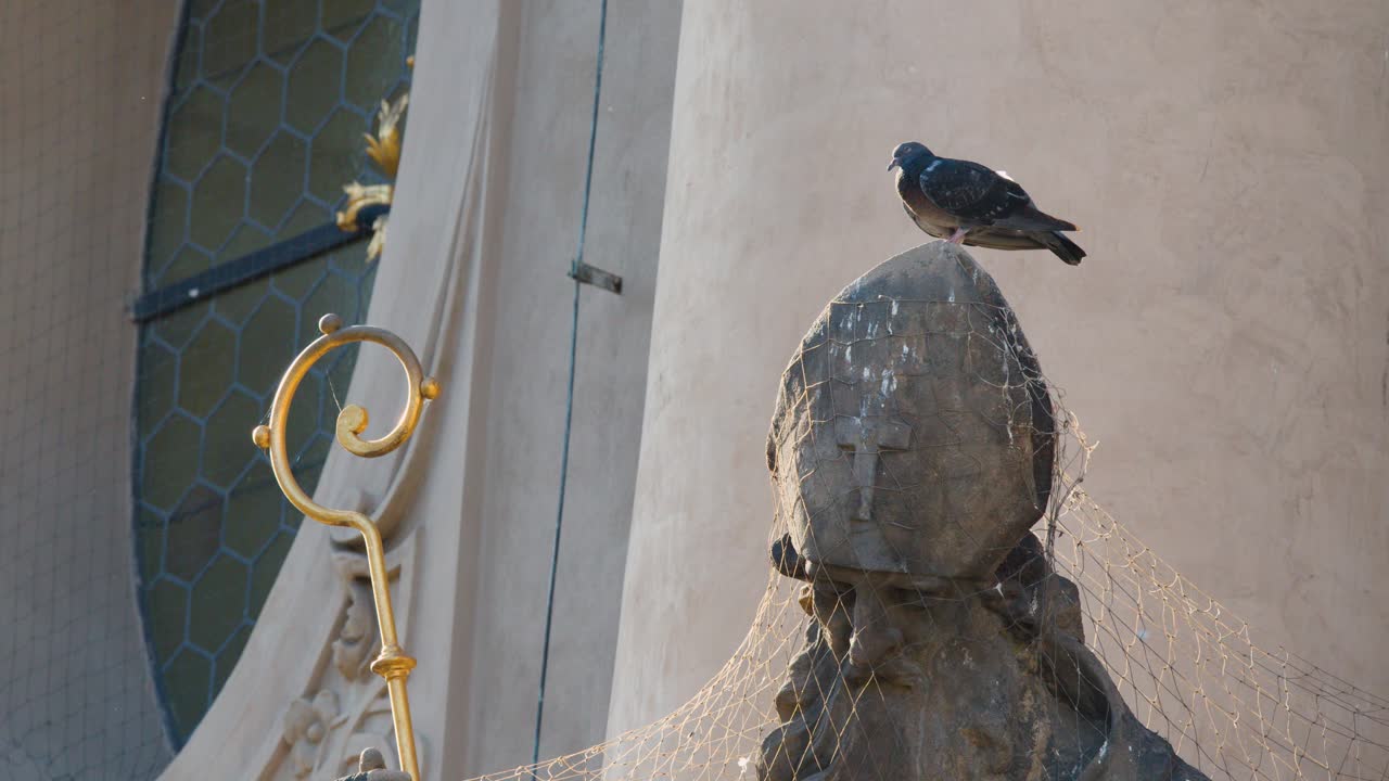 Pigeon rests atop netted stone statue, golden staff detail, soft daylight, minimal camera movement